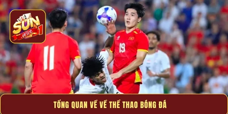 Tổng quan về về thể thao bóng đá